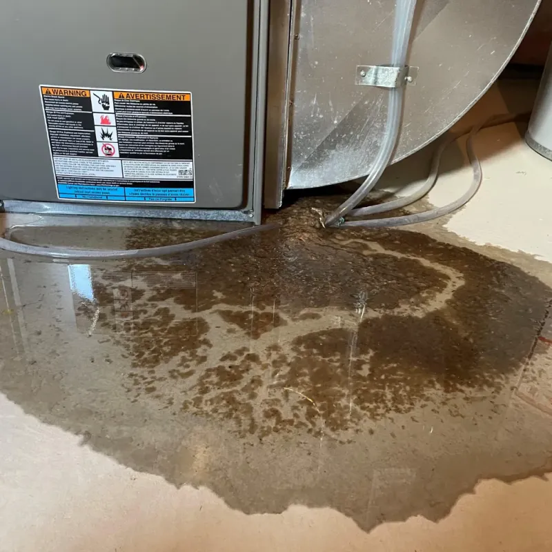 Appliance Leak Cleanup in Kernersville, NC